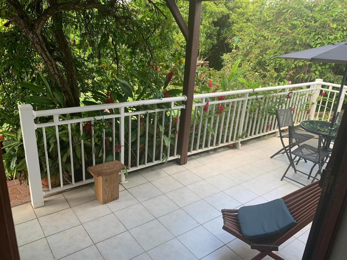Logement Vacances Gissac Sainte-Anne エクステリア 写真